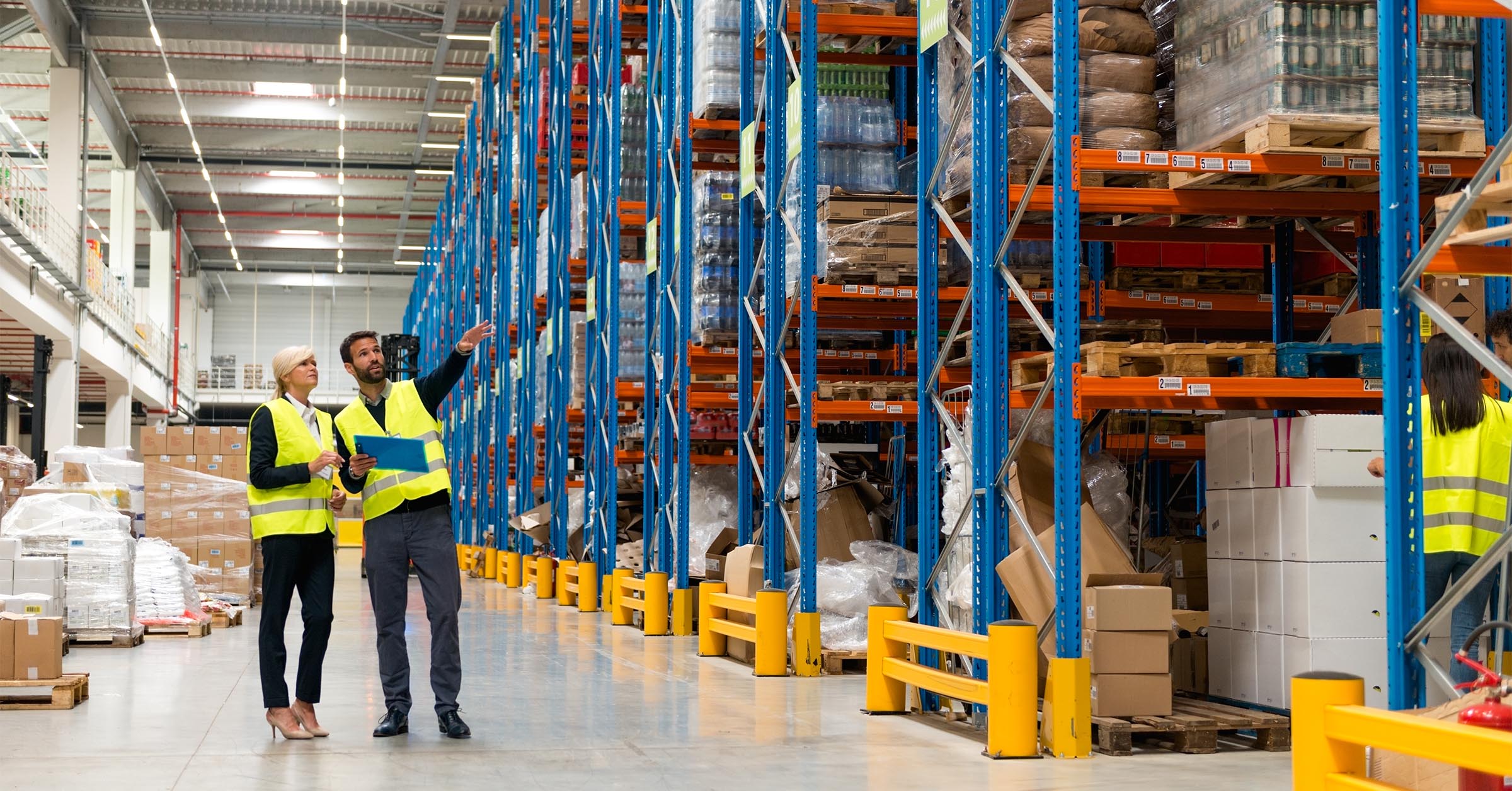 Choosing the Right Warehouse System Integrators | Maveneer